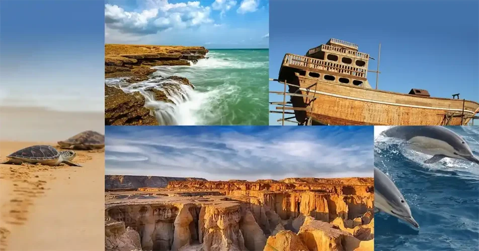 تور قشم از تبریز هوایی و با قطار توسط ستاره شرق آذرگشت